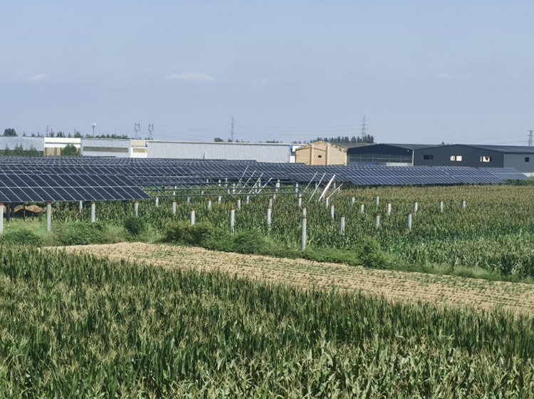 Agricultural photovoltaic complementary projects